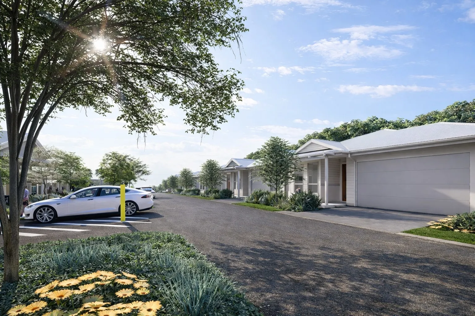 Morning streetscape with landscaped verges and single-storey homes